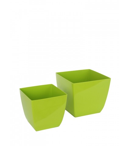 Pot plastique carré vert curvo