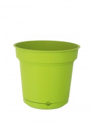Pot rond vert plastique avec soucoupe