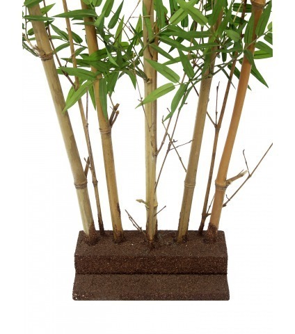 Haie de bambous orientale