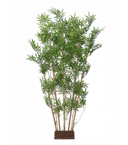 Haie de bambous orientale