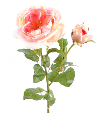 Rose de damas artificielle rosée