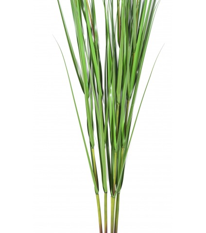 Herbe de la pampa artificielle géante