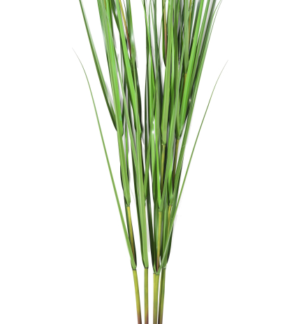 Herbe de la pampa artificielle géante