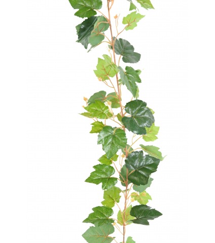 Guirlande de vigne décorative