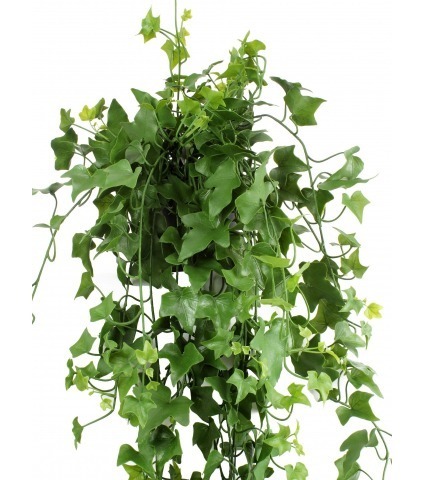 Lierre artificiel printanier