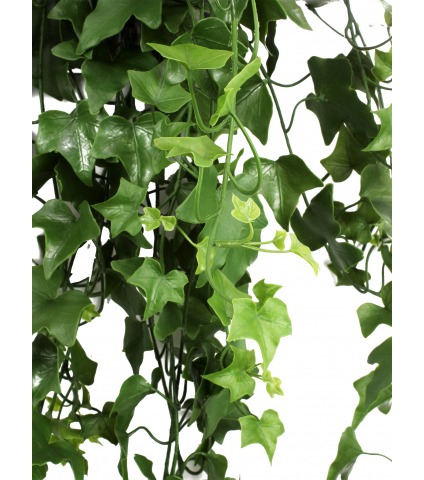Lierre artificiel printanier