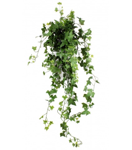 Lierre artificiel printanier