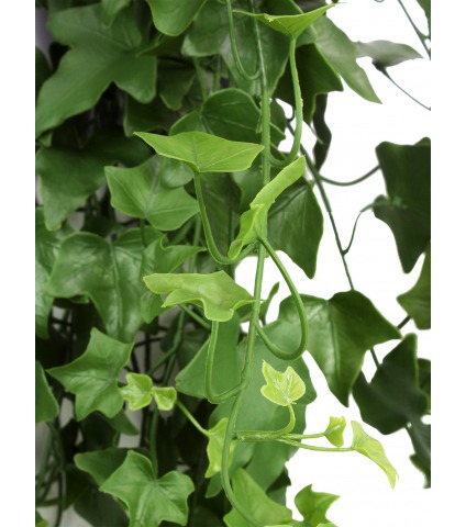 Lierre artificiel printanier