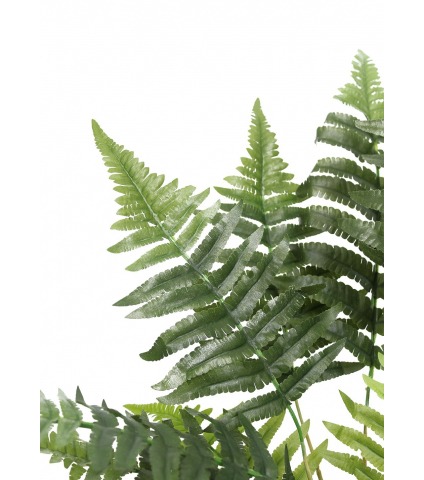 Fougère aigle artificielle