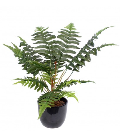 Fougère aigle artificielle