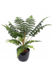 Fougère aigle artificielle