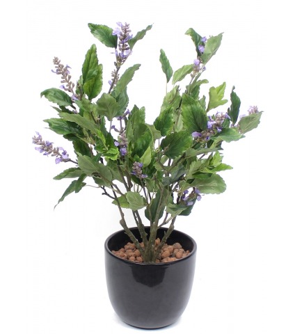 Sauge officinale artificielle