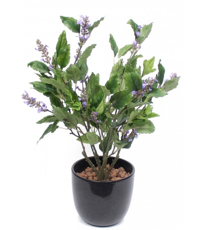 Sauge officinale artificielle