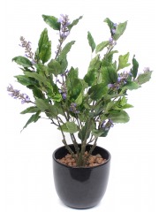 Sauge officinale artificielle