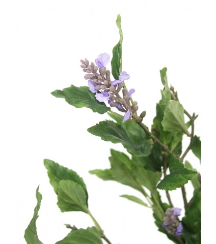 Sauge officinale artificielle