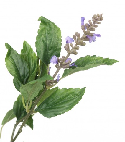 Sauge officinale artificielle