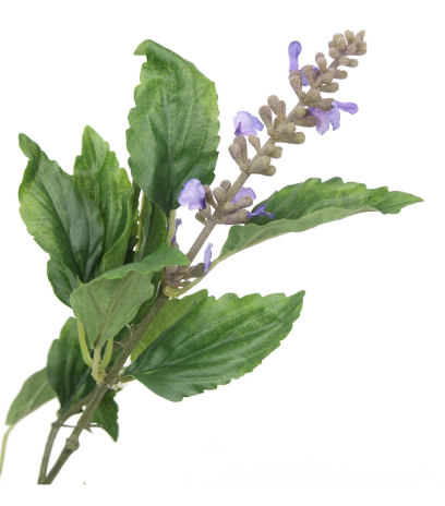 Sauge officinale artificielle