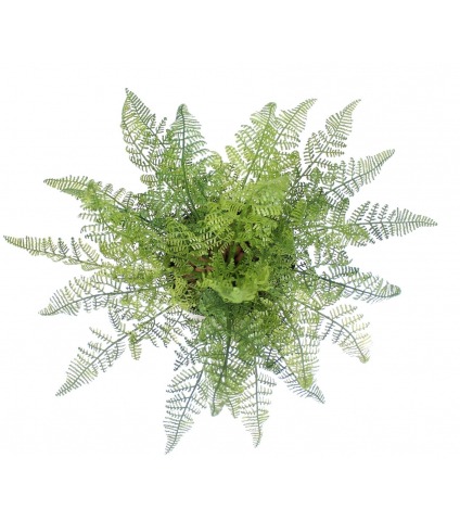 Fougère davallia bullata artificielle