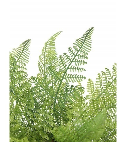 Fougère davallia bullata artificielle