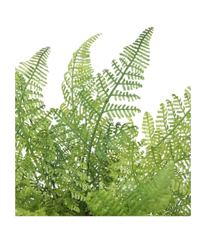 Fougère davallia bullata artificielle