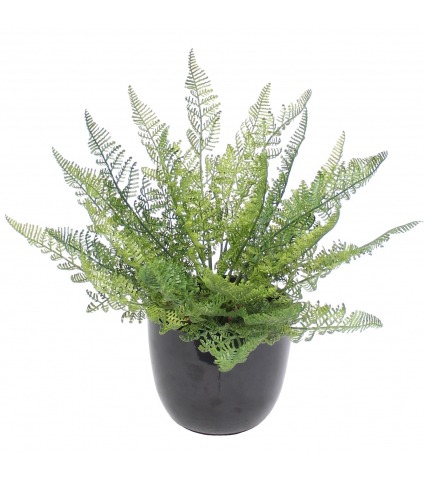 Fougère davallia bullata artificielle