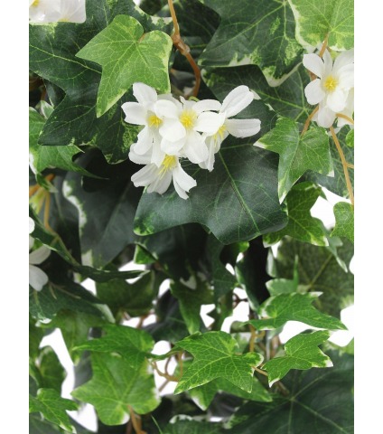 Lierre artificiel panaché fleuri