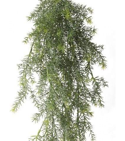 Chute d'asparagus artificielle