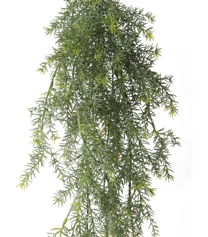Chute d'asparagus artificielle