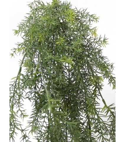 Chute d'asparagus artificielle