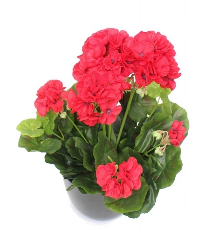 Géranium artificiel rouge