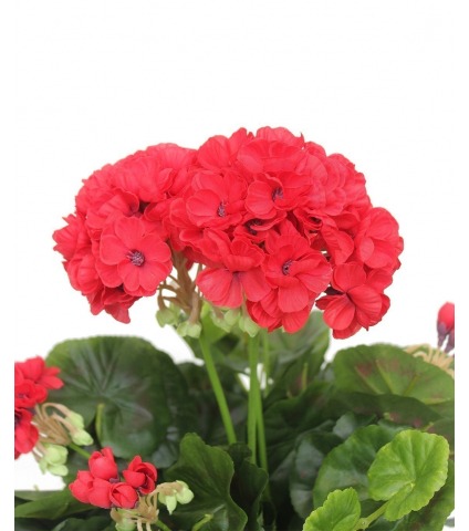 Géranium artificiel rouge