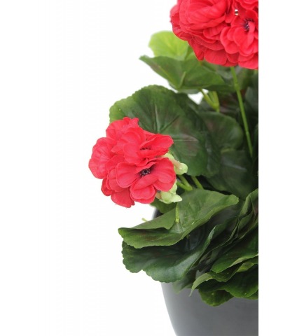 Géranium artificiel rouge