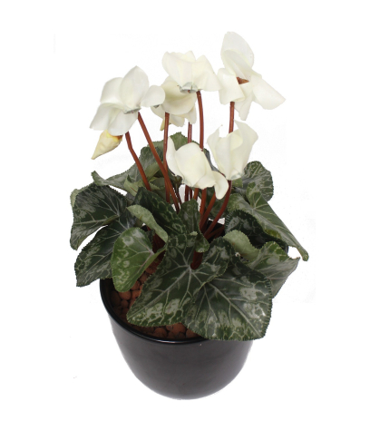Cyclamen artificiel blanc