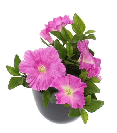 Pétunia artificiel fuchsia