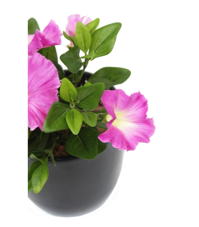 Pétunia artificiel fuchsia