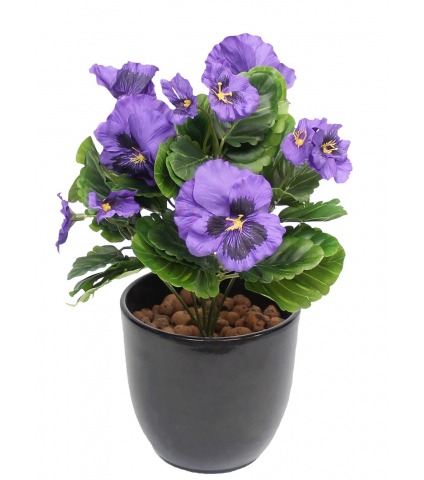 Pensée artificielle violette