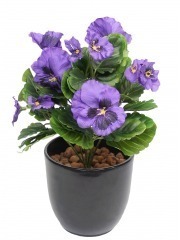 Pensée artificielle violette