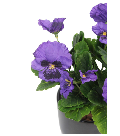 Pensée artificielle violette