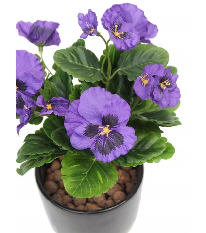 Pensée artificielle violette