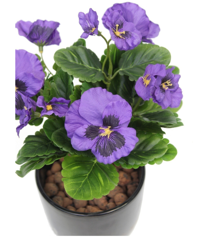 Pensée artificielle violette