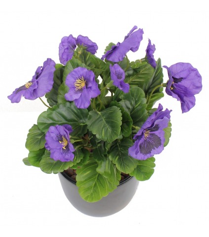 Pensée artificielle violette