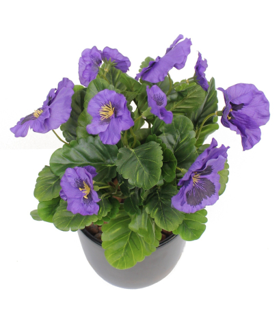 Pensée artificielle violette