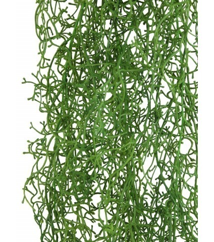 Tillandsia artificiel