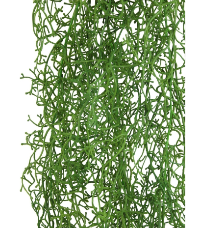 Tillandsia artificiel