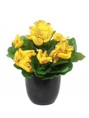 Calcéolaire artificielle jaune