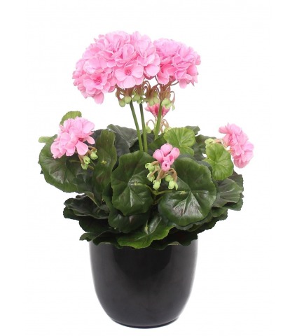 Géranium rose artificiel