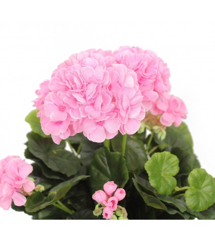 Géranium rose artificiel