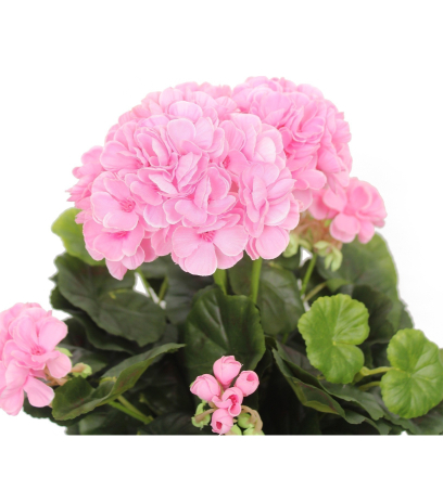 Géranium rose artificiel