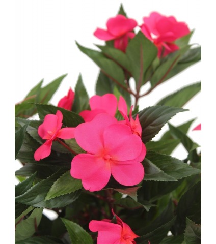 Impatiens artificiel fuchsia