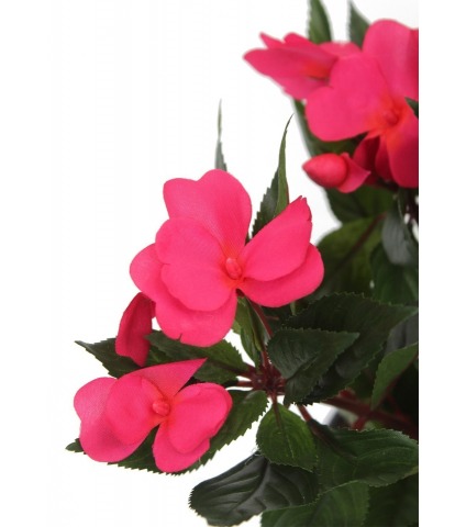 Impatiens artificiel fuchsia